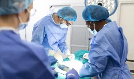 Articoli - Tutto quello che devi sapere su un trapianto di rene e su come raccoglierne i fondi